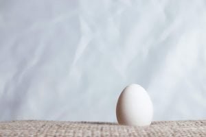 egg_white.jpg