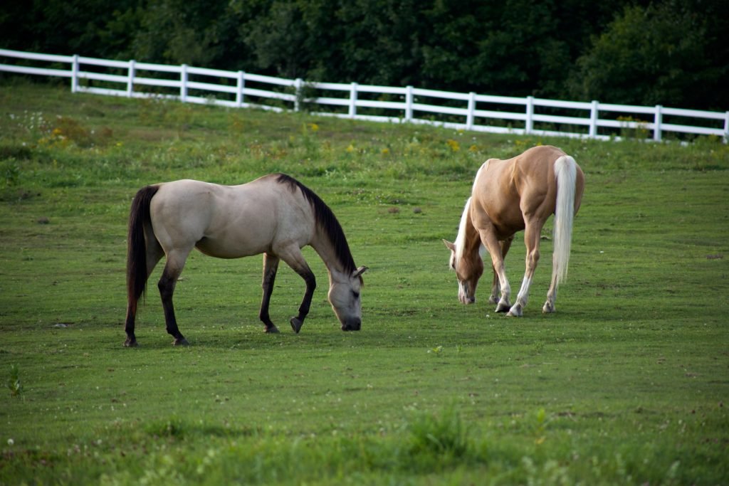 Lexington Kentucky is of the most beautiful places in USA